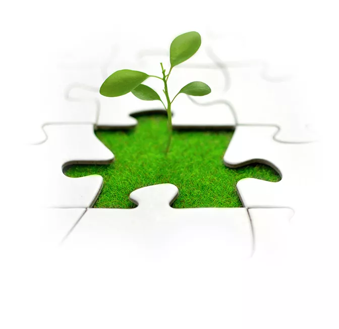 WHY We DEDICATED DEVELOPMENT CENTERS WHY We DEDICATED DEVELOPMENT CENTERS